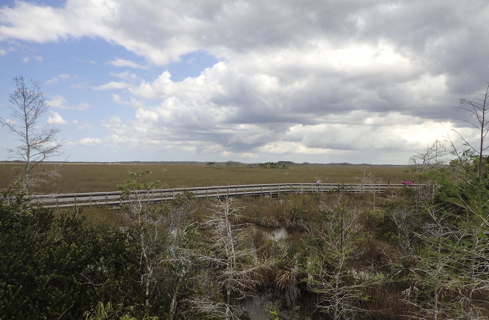 boardwalk at Pa-hay-okee