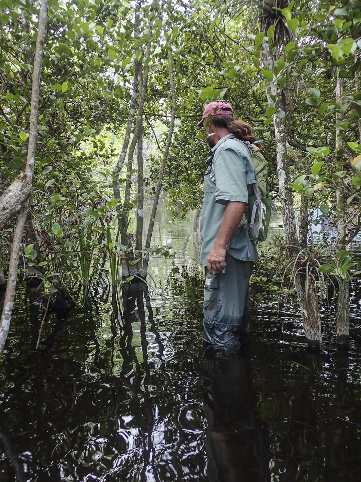 sAScott leading swamp walk