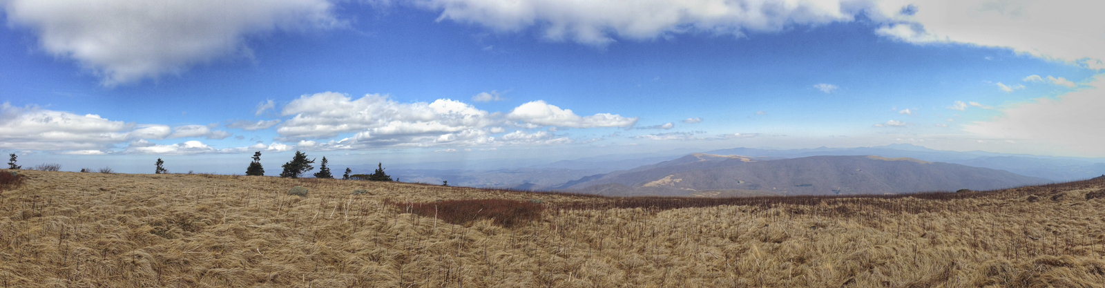 View from Grassy Bald