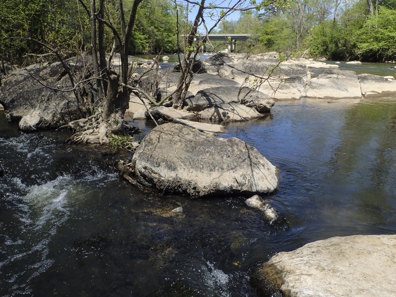 looking upstream to bridge