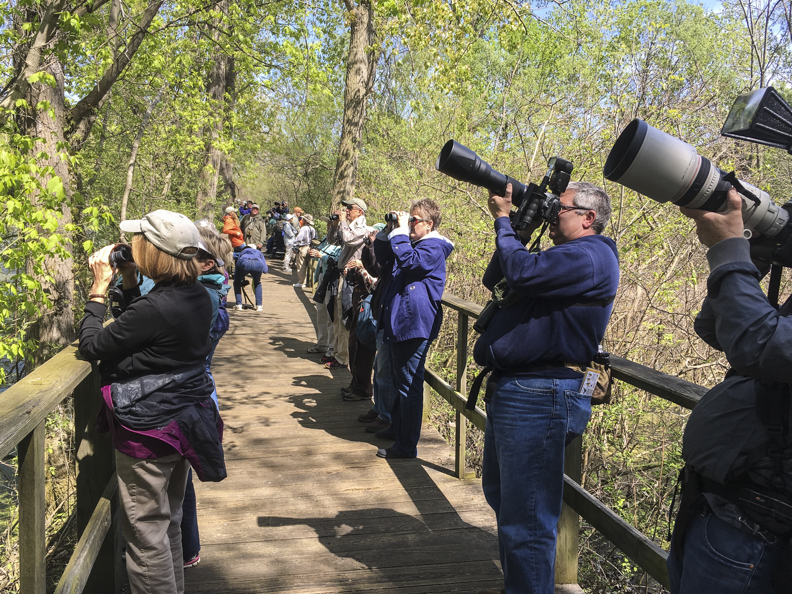 Magee Marsh boardwalk 1