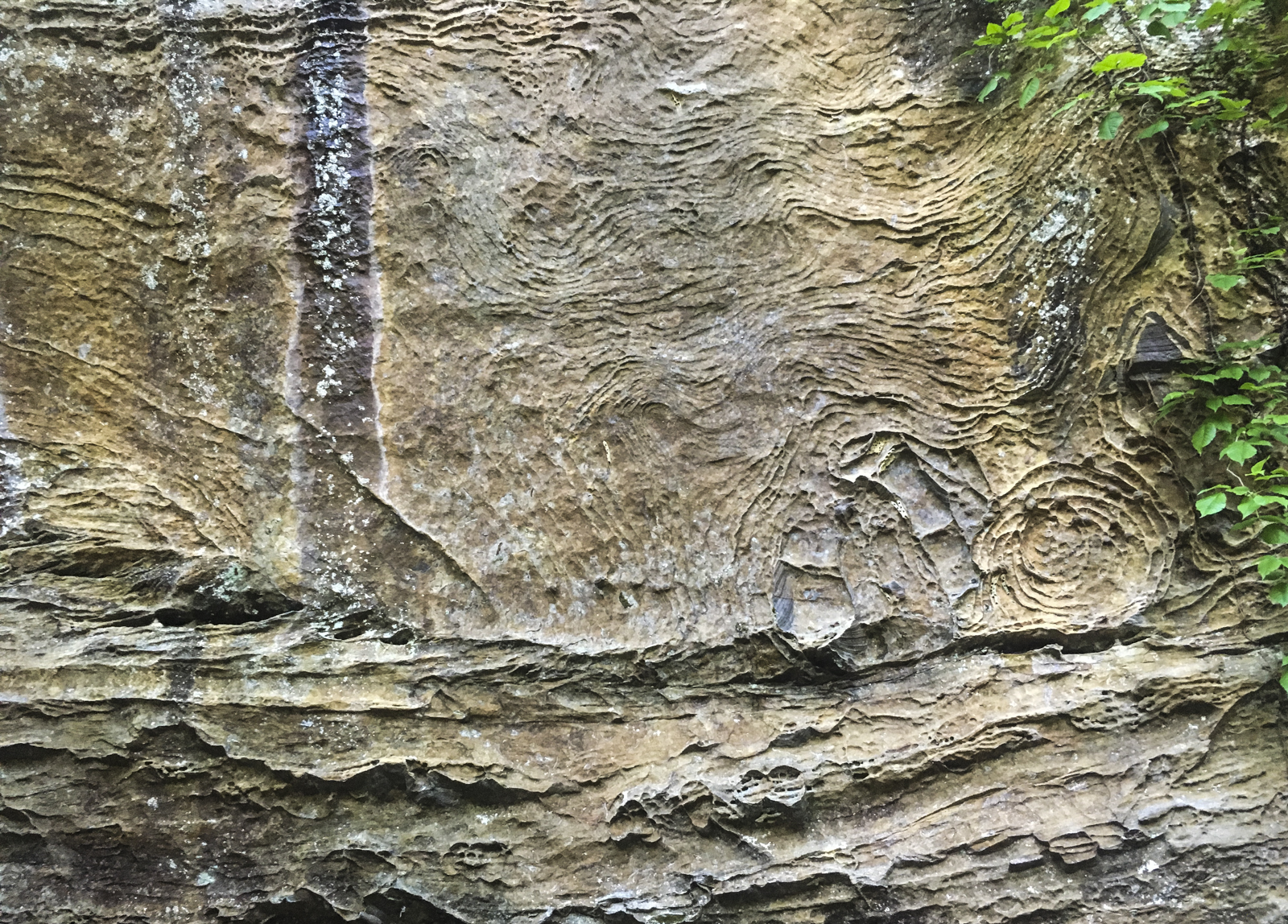Patterns in the rock at the base of Sky Bridge