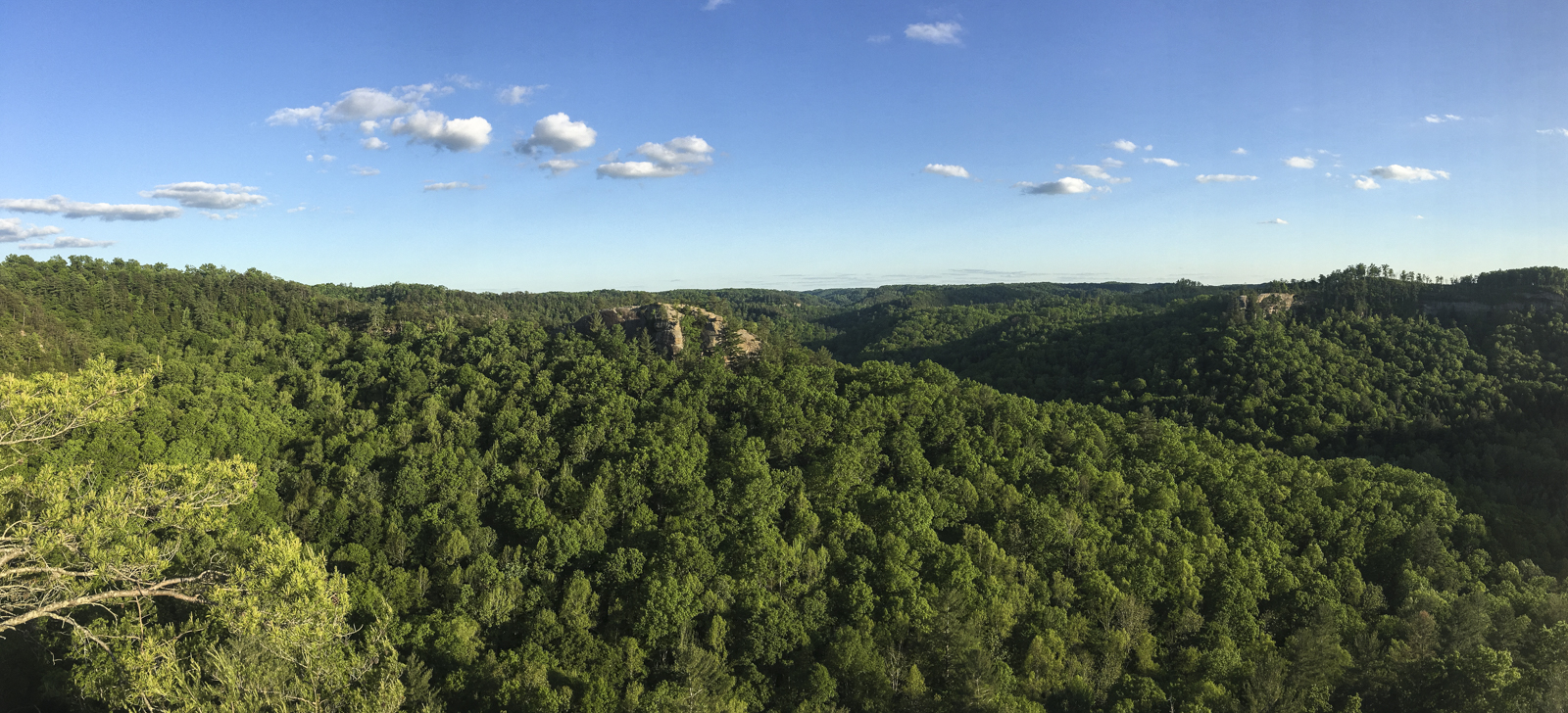 Red River Gorge scenic vista