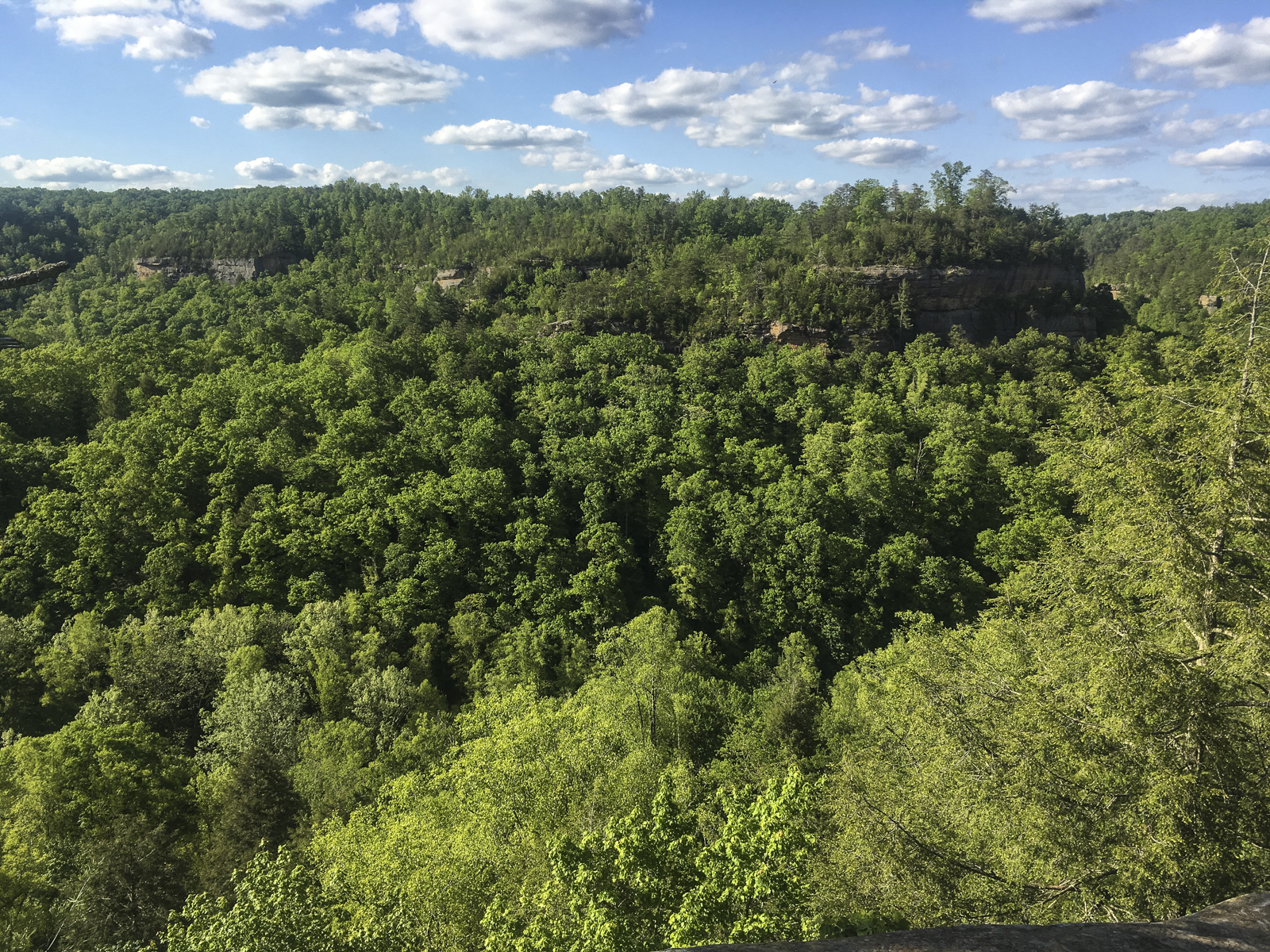 View from Sky Bridge