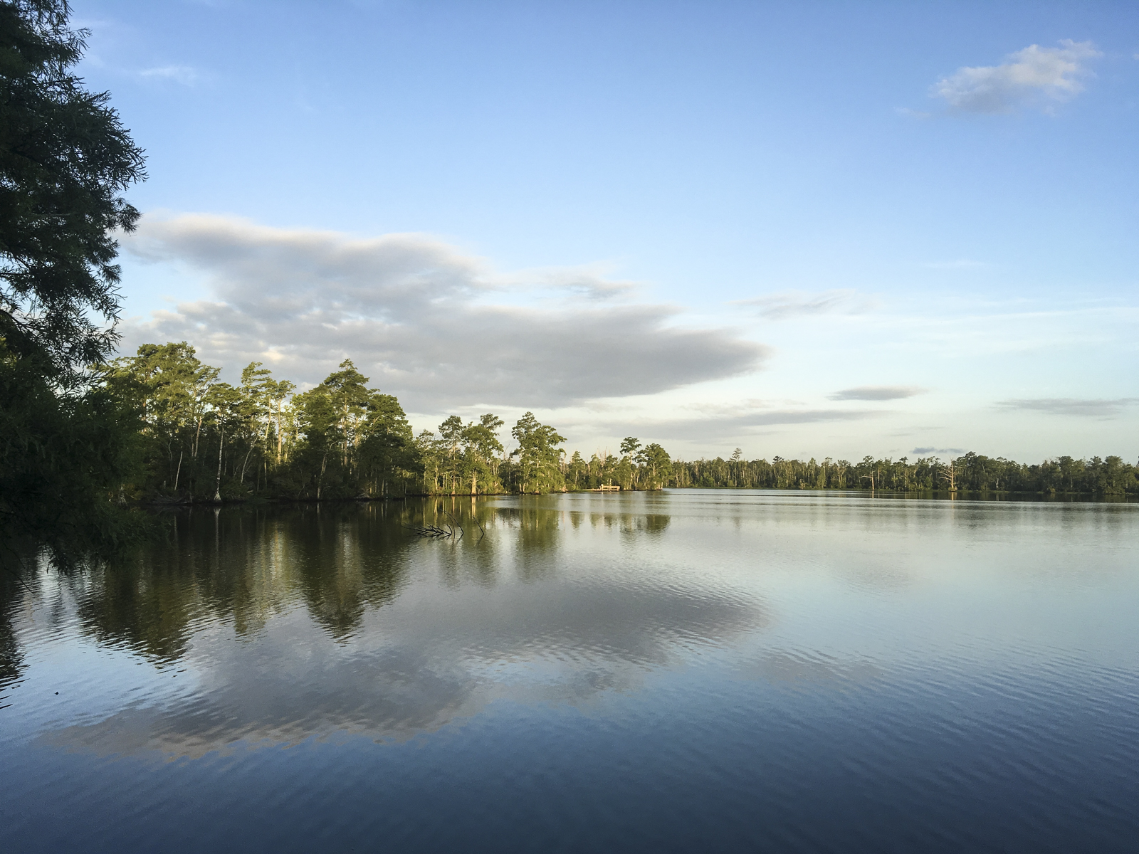 sunrise on boardwalk at PLNWR VC