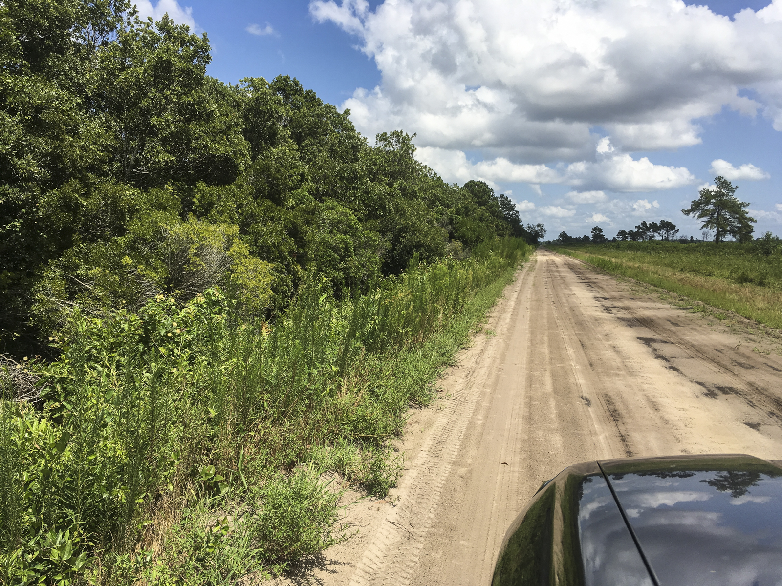 Driving the Pungo Unit