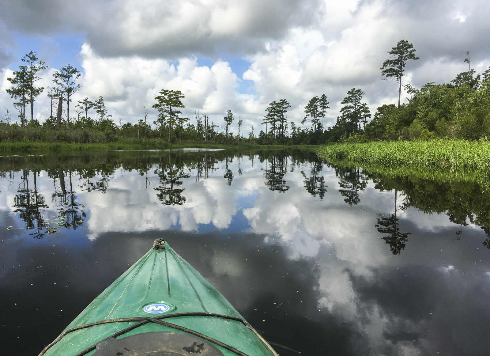 NW Alligator River 1