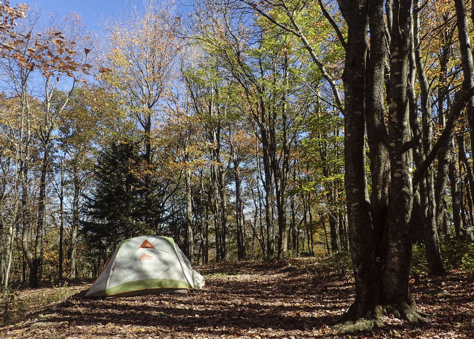 campsite at Grayson Highlands