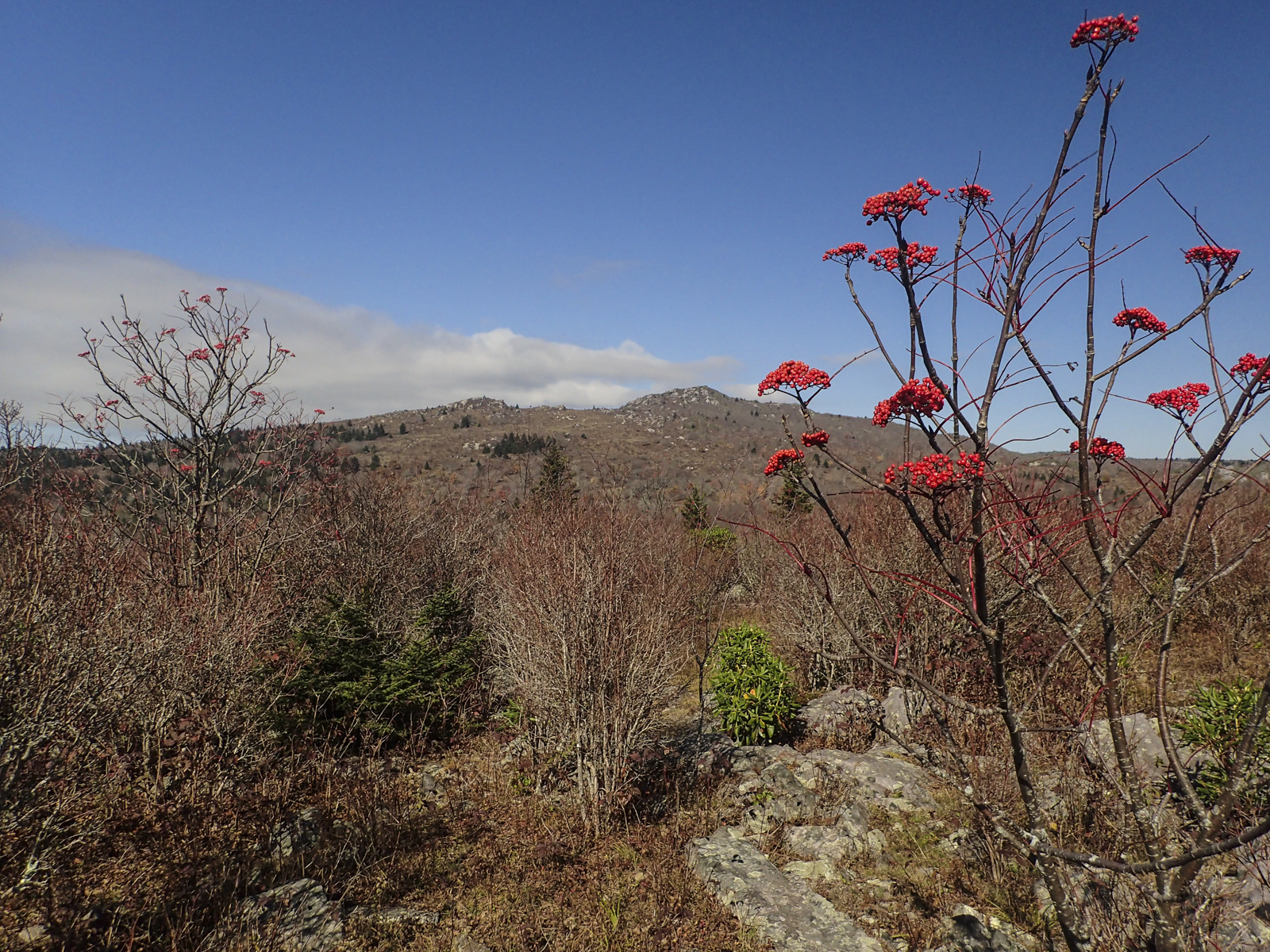 starting the trail above Massie Gap