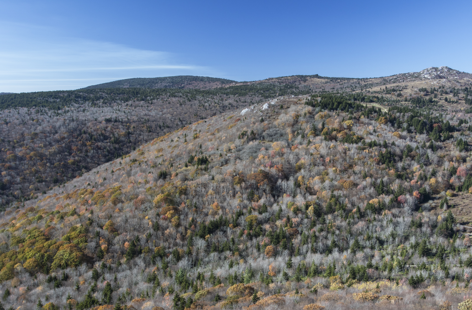 View from Big Pinnacle