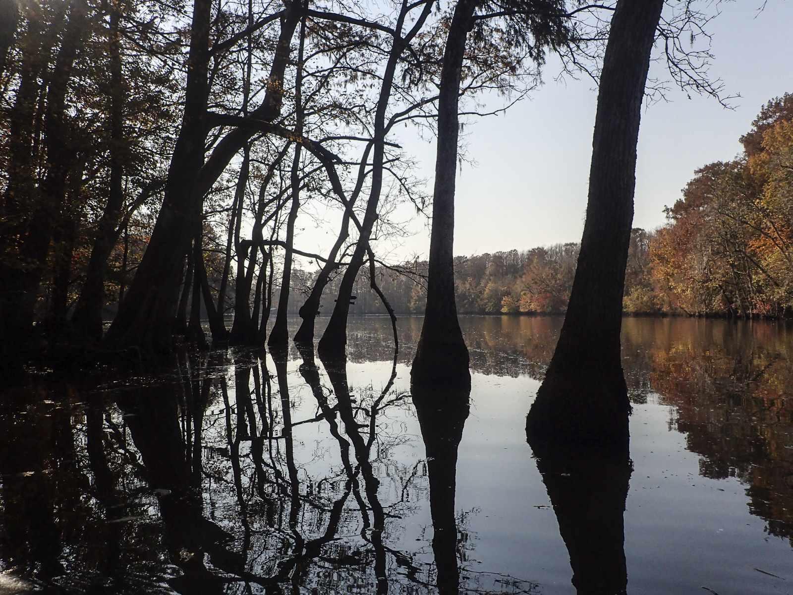 Cevil's Gut meets the Roanoke