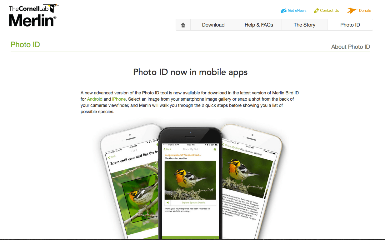 screen-shot-2017-01-10-at-6-44-55-am