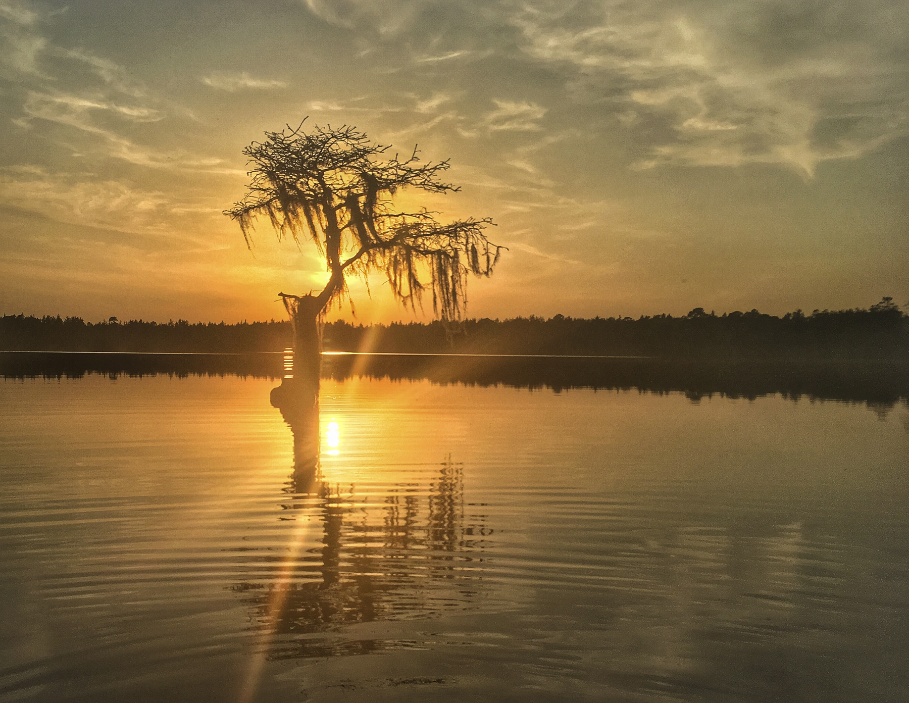 Jones Lake sunset 1 Lake sunset