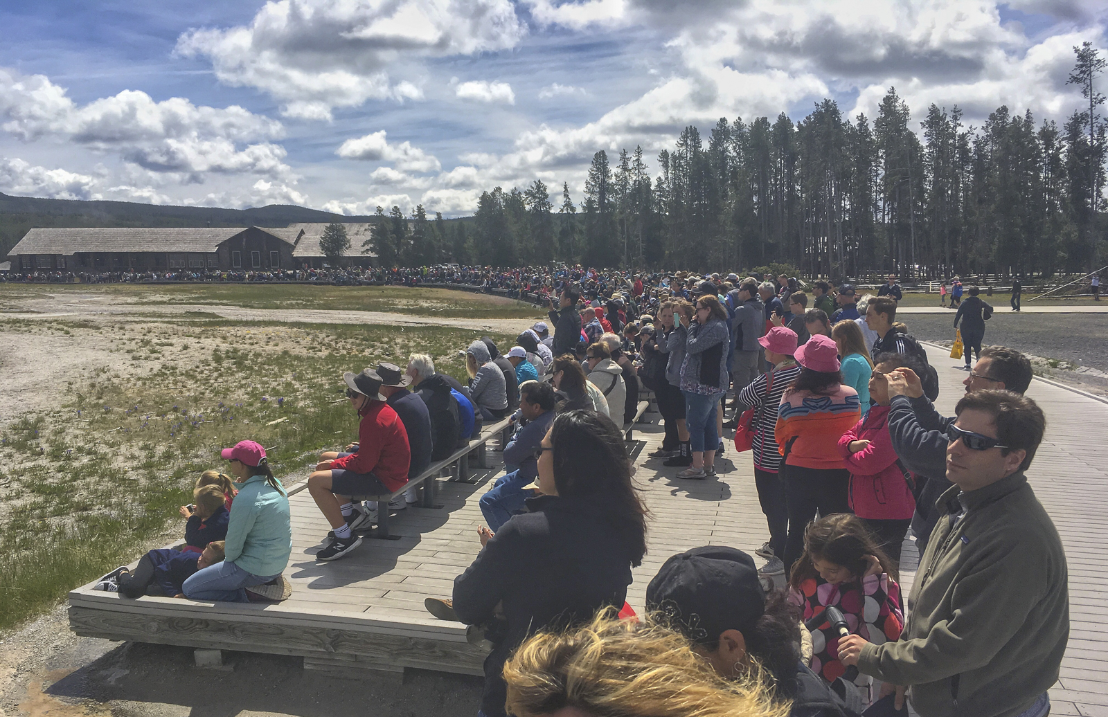 Old Faithful crowds