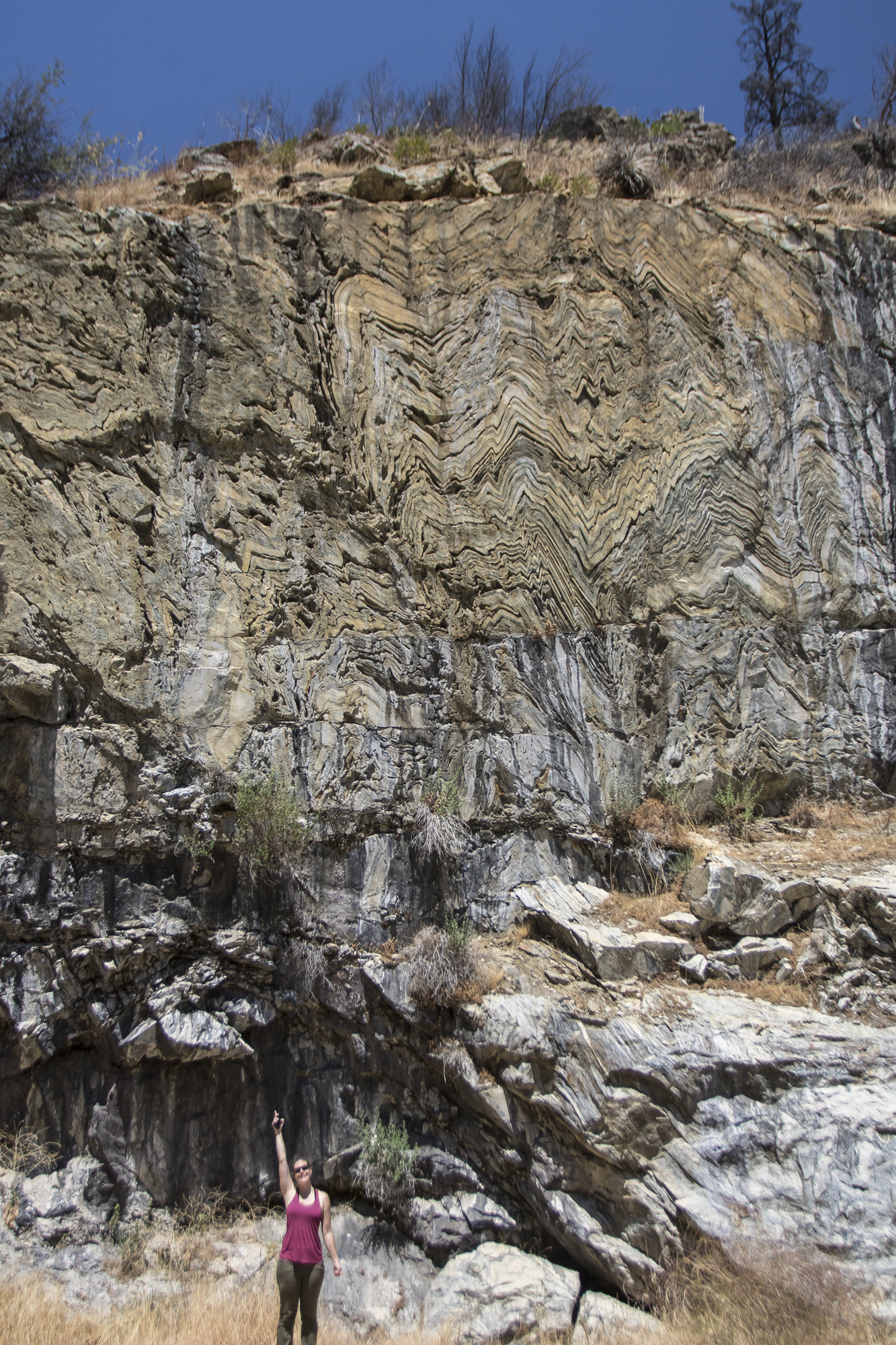 chevron folds Kings Canyon