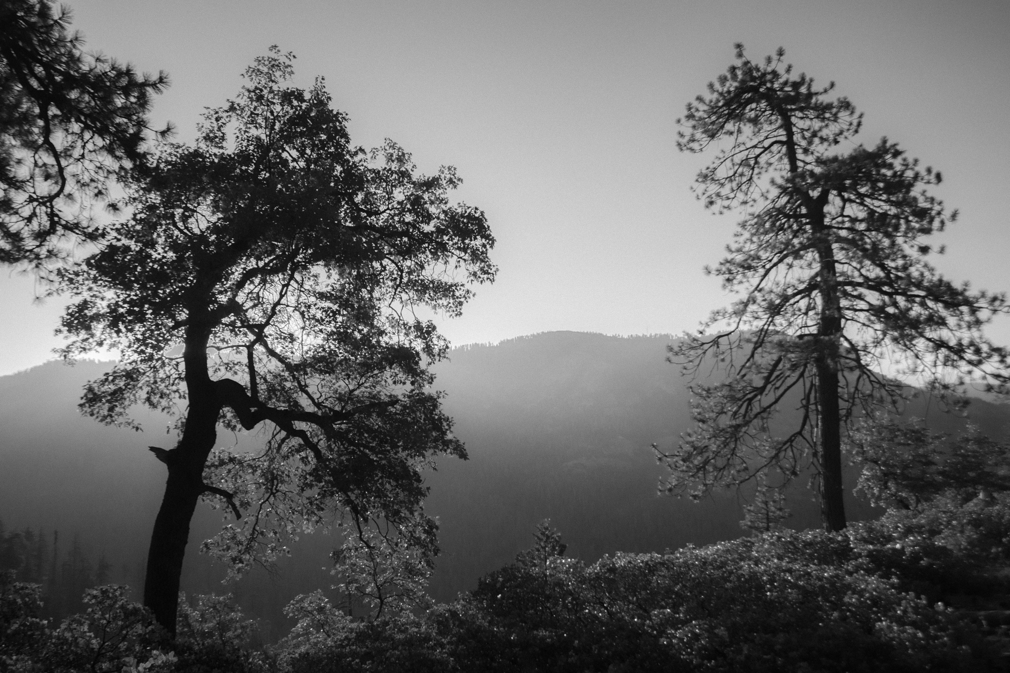 View from campsite B&amp;W