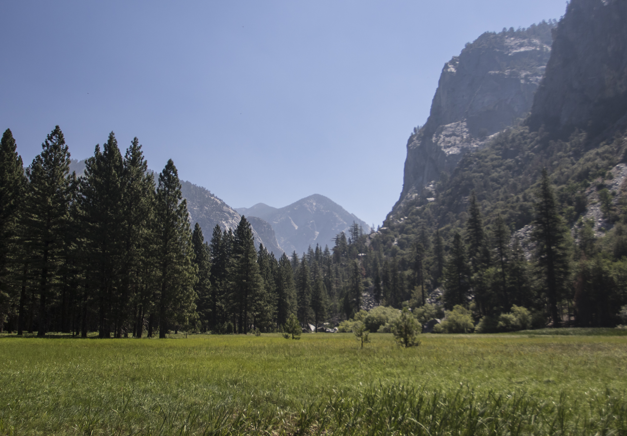 Zumwalt meadow Kings Canyon NP