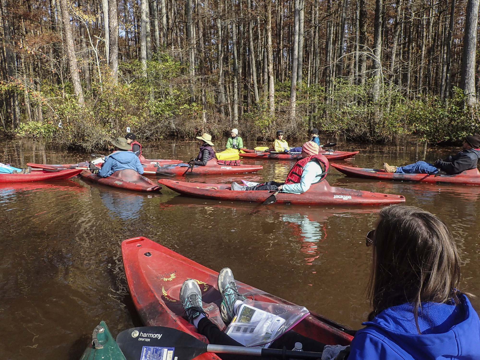 group on millpond