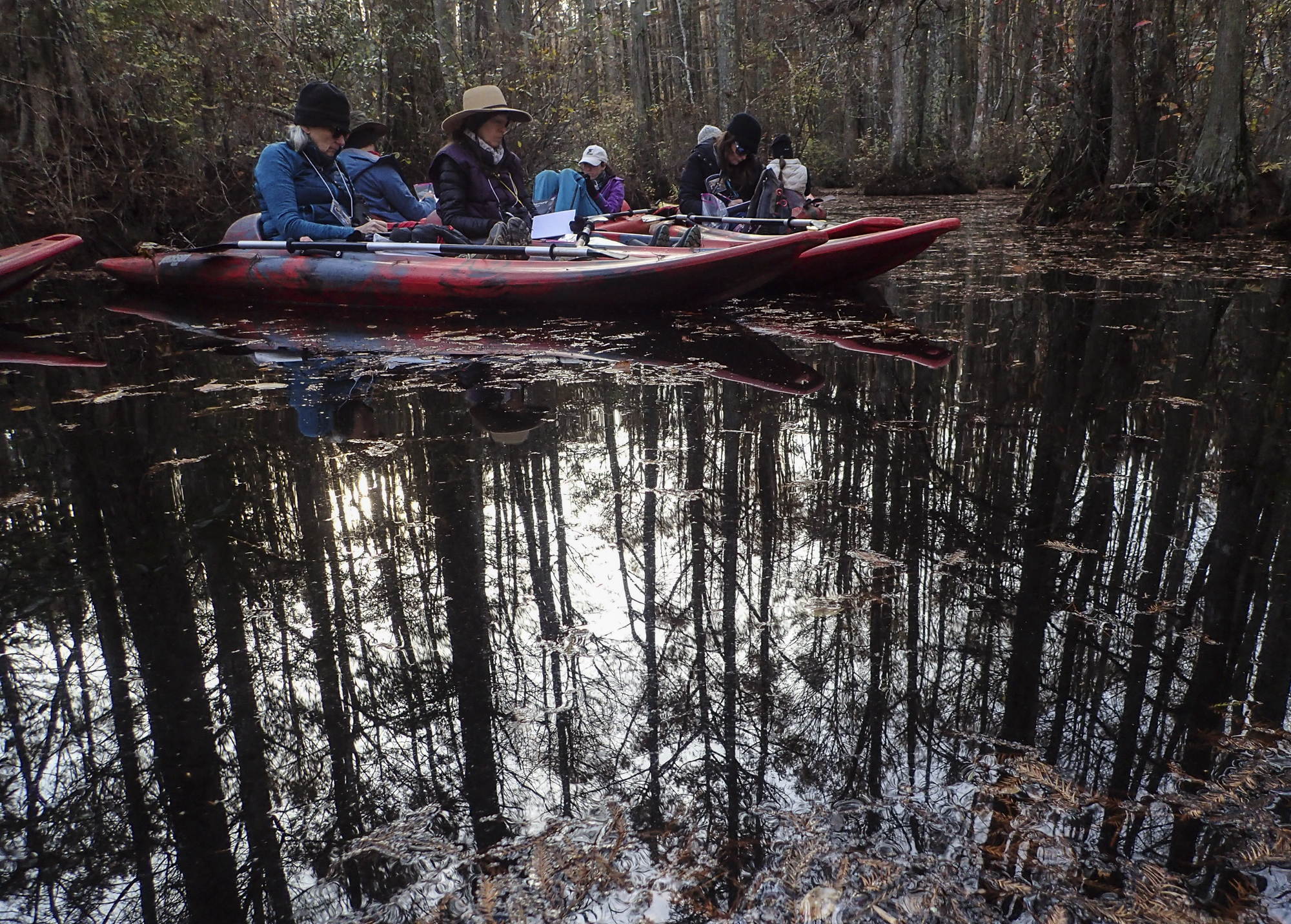 journaling in kayaks, Roberston Millpond Preserve
