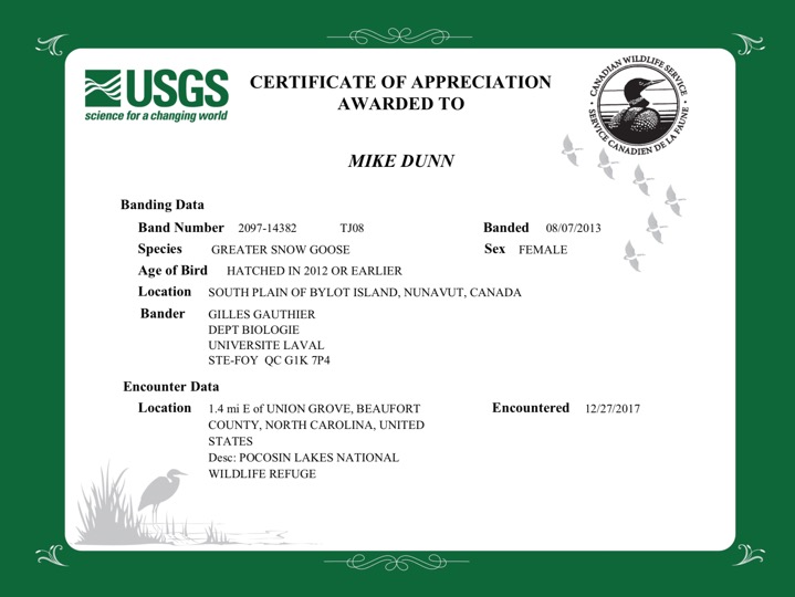 Snow goose TJ08 certificate