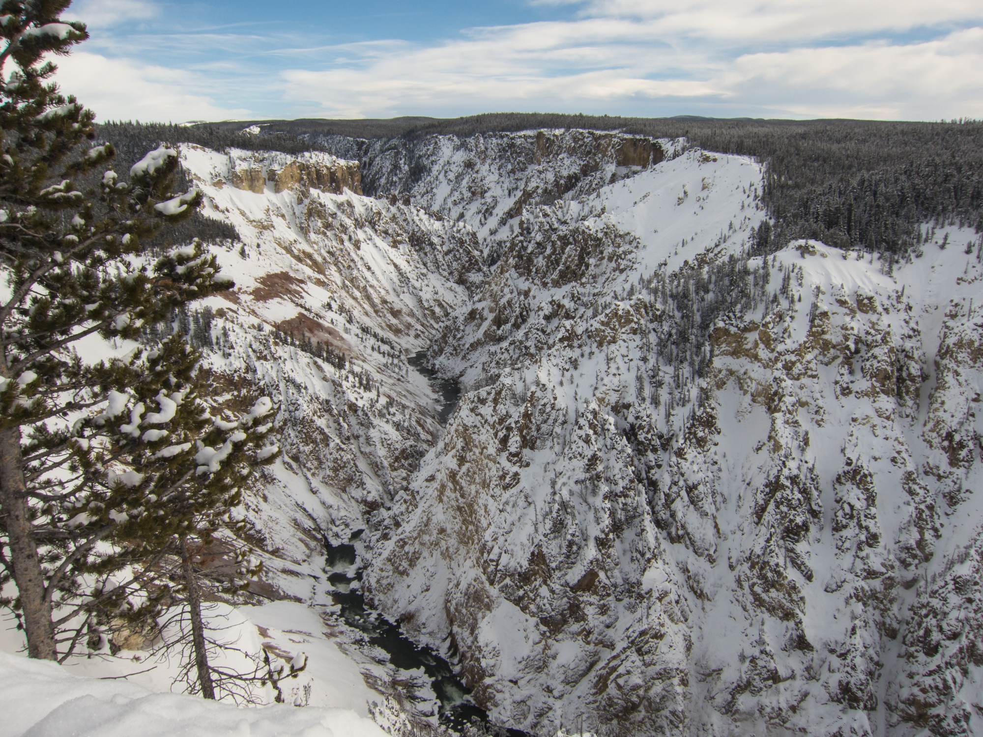 Grand Canyon of the Yellowstone