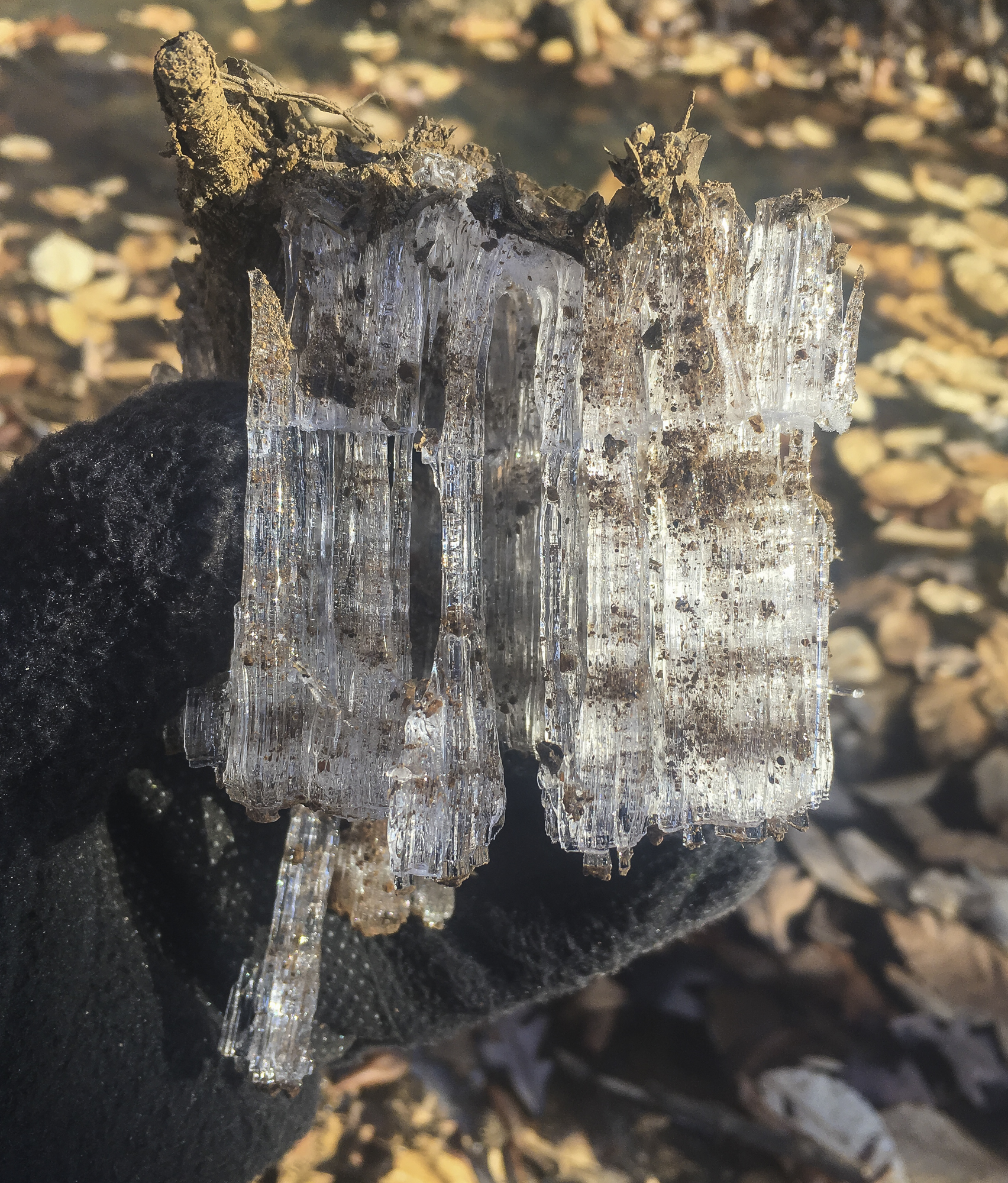 Hoar frost columns on chunk of mud that dislodged while walking