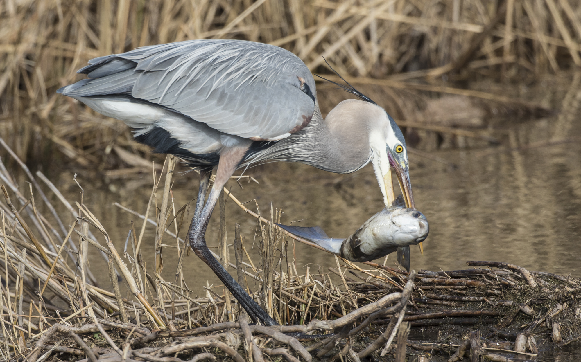 How do I get this thing off