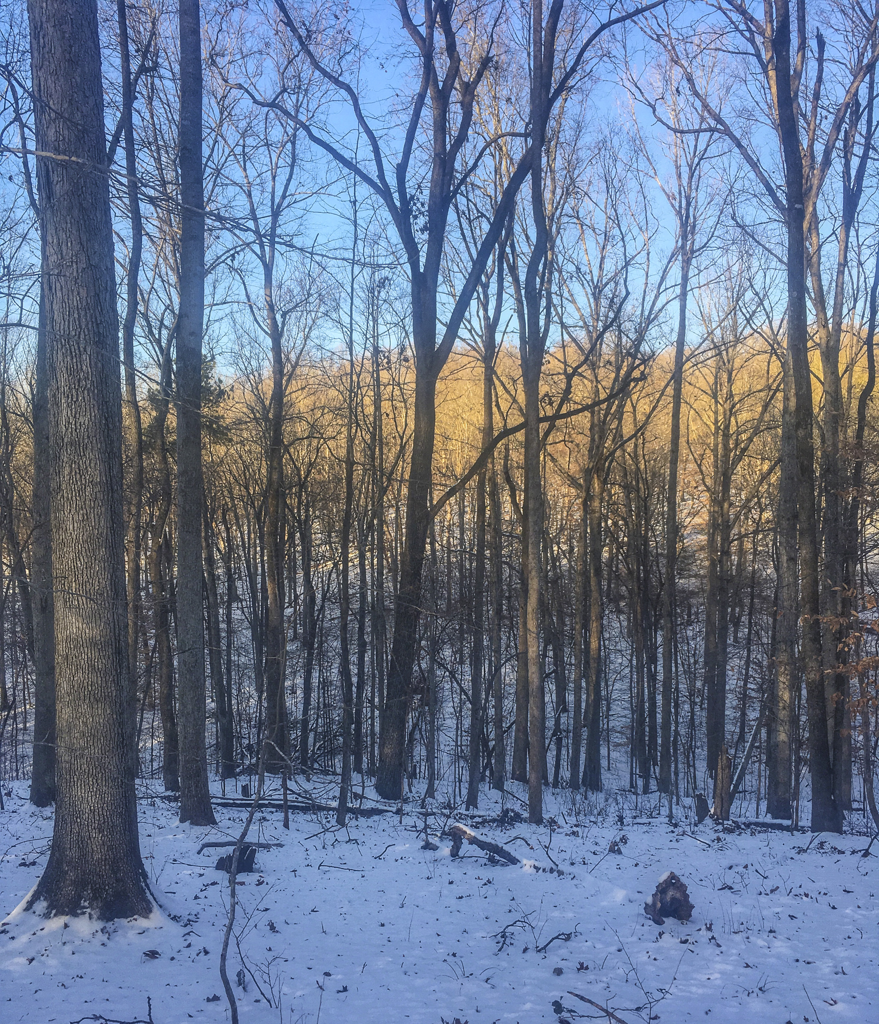South ridge at sunset