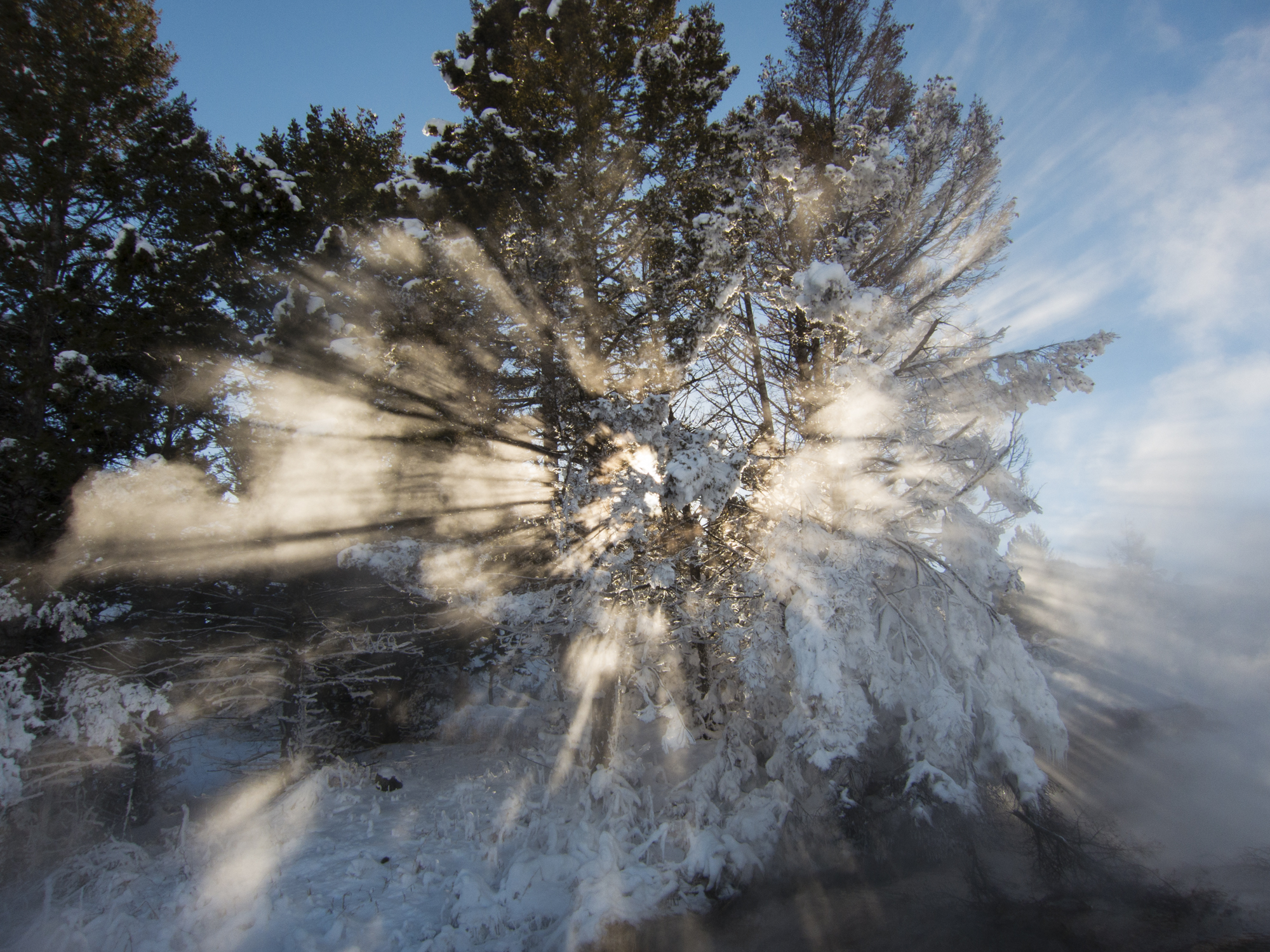 sunrise through mist at Canary spring