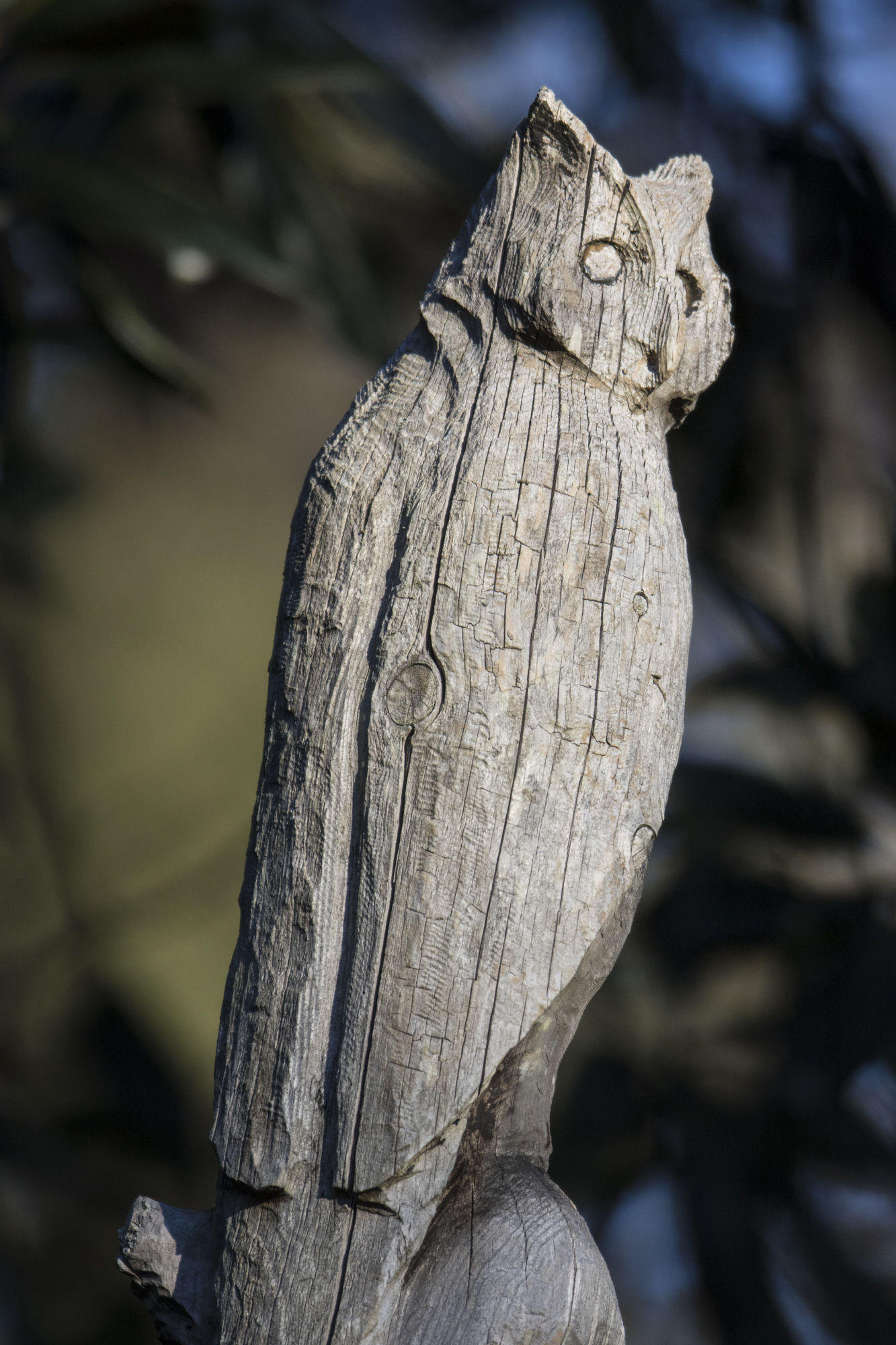 wooden owl