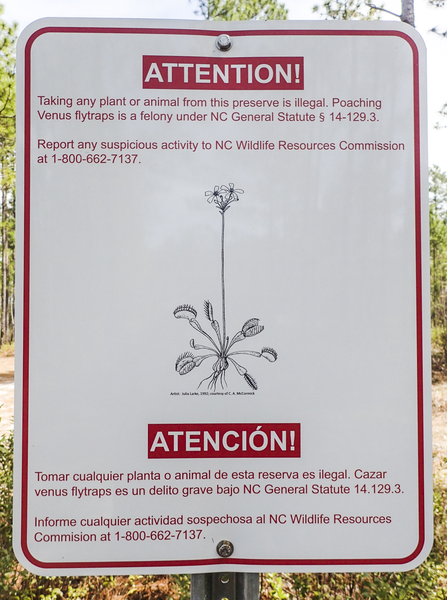 VFT sign