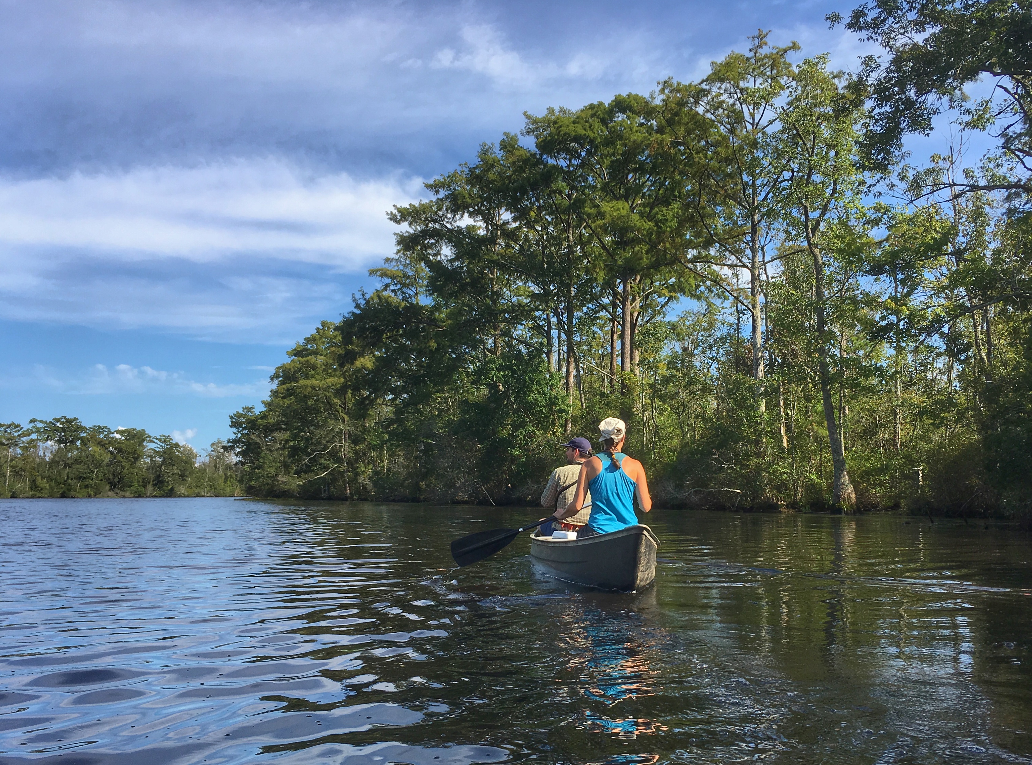 Paddling the Scuppernong