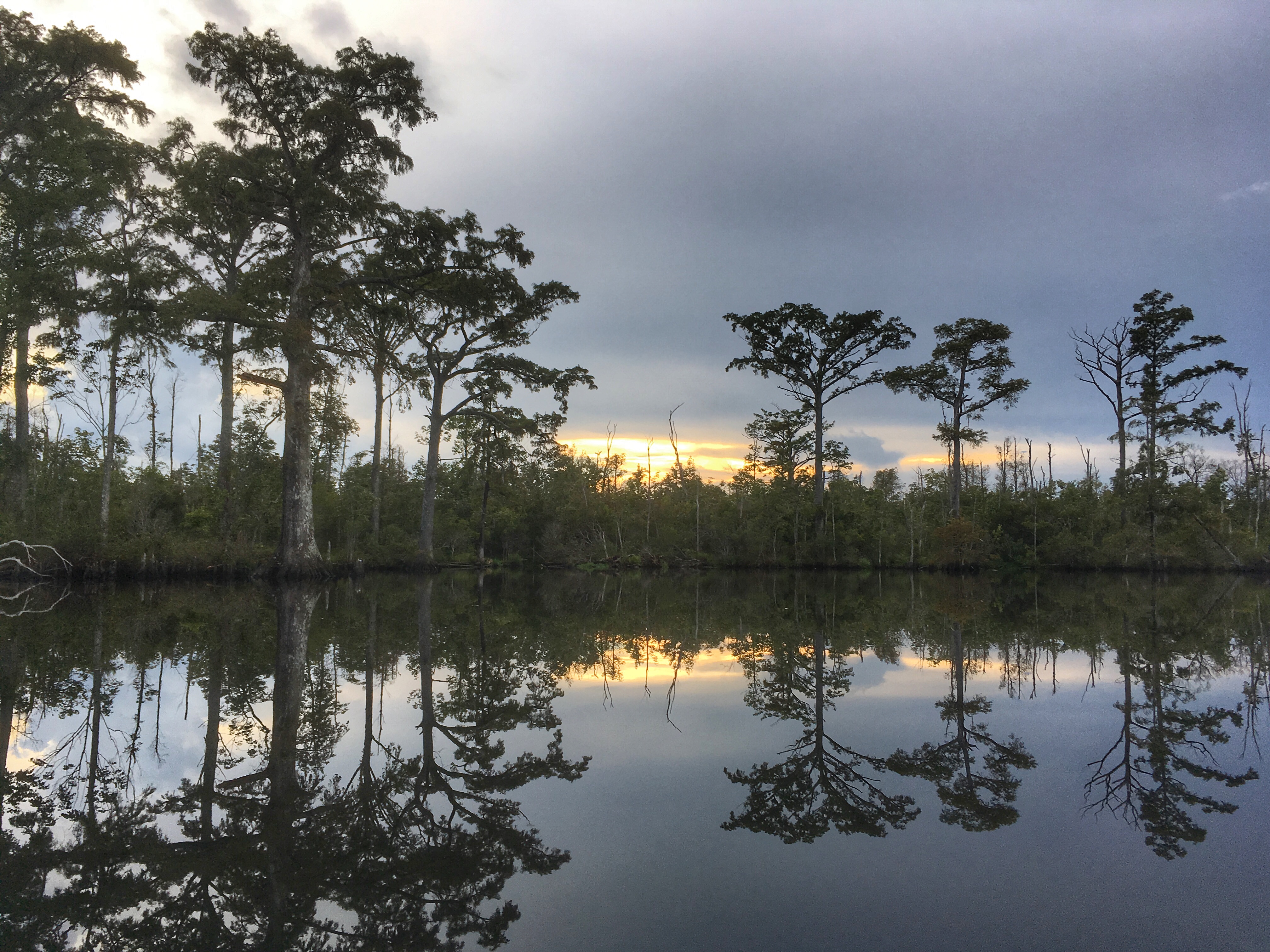 Scuppernong near Columbia at sunset