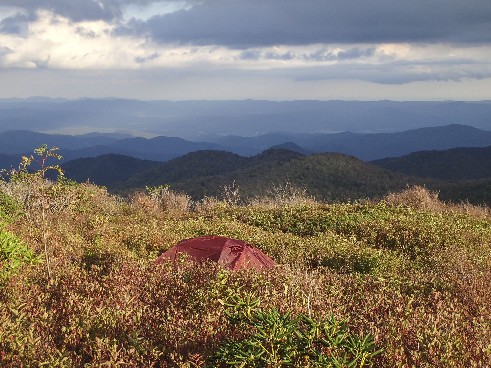 Our tent nesteled among the blueberry shrubs