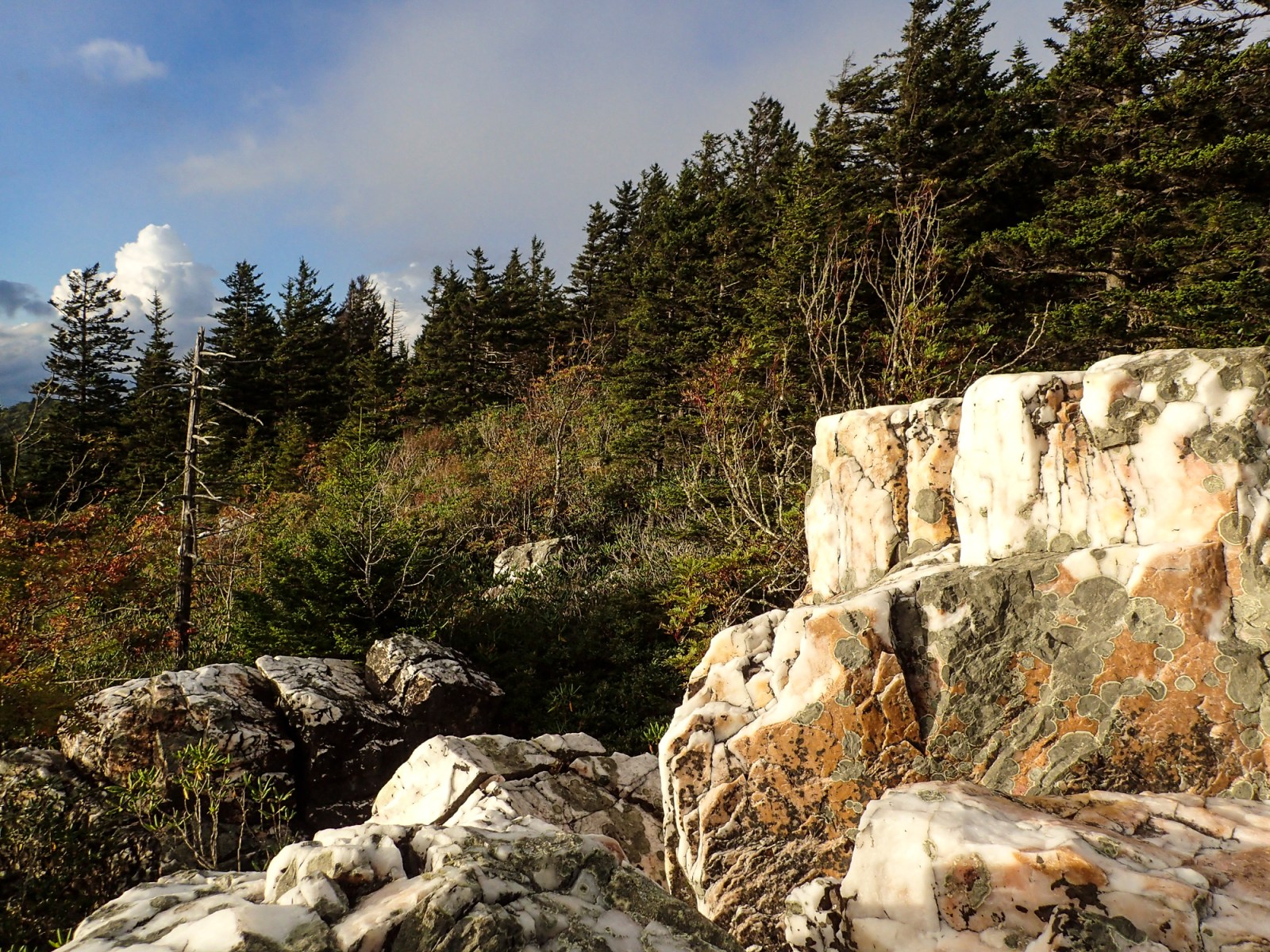 Shining Rover Rocks Shining Rock – Roads End Naturalist