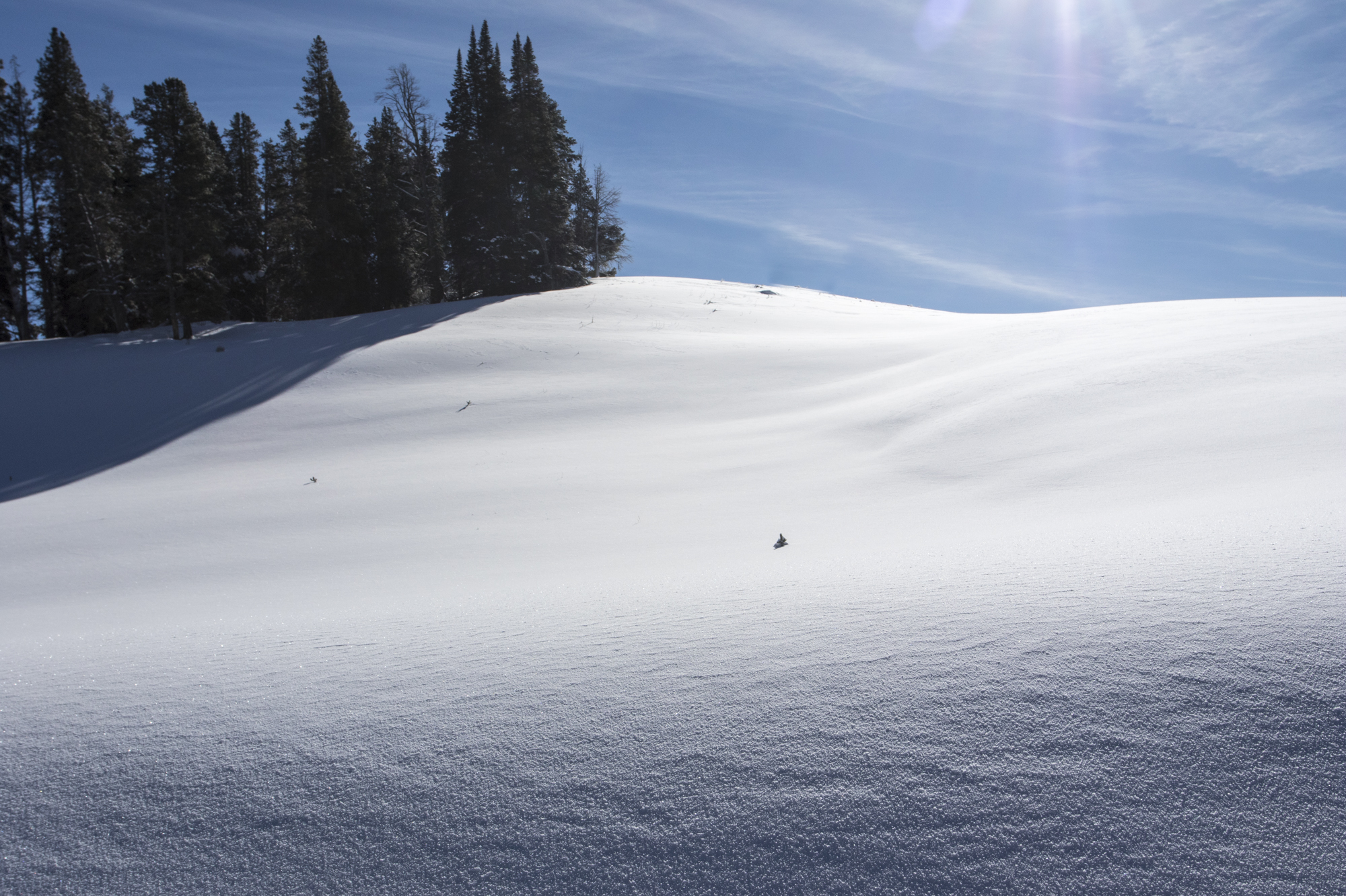 Rolling hillside of untouched snow
