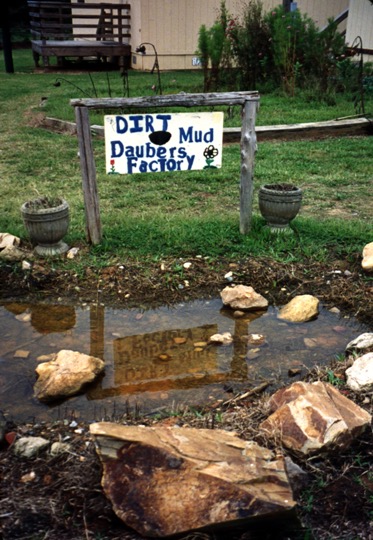 dirt dauber preserve