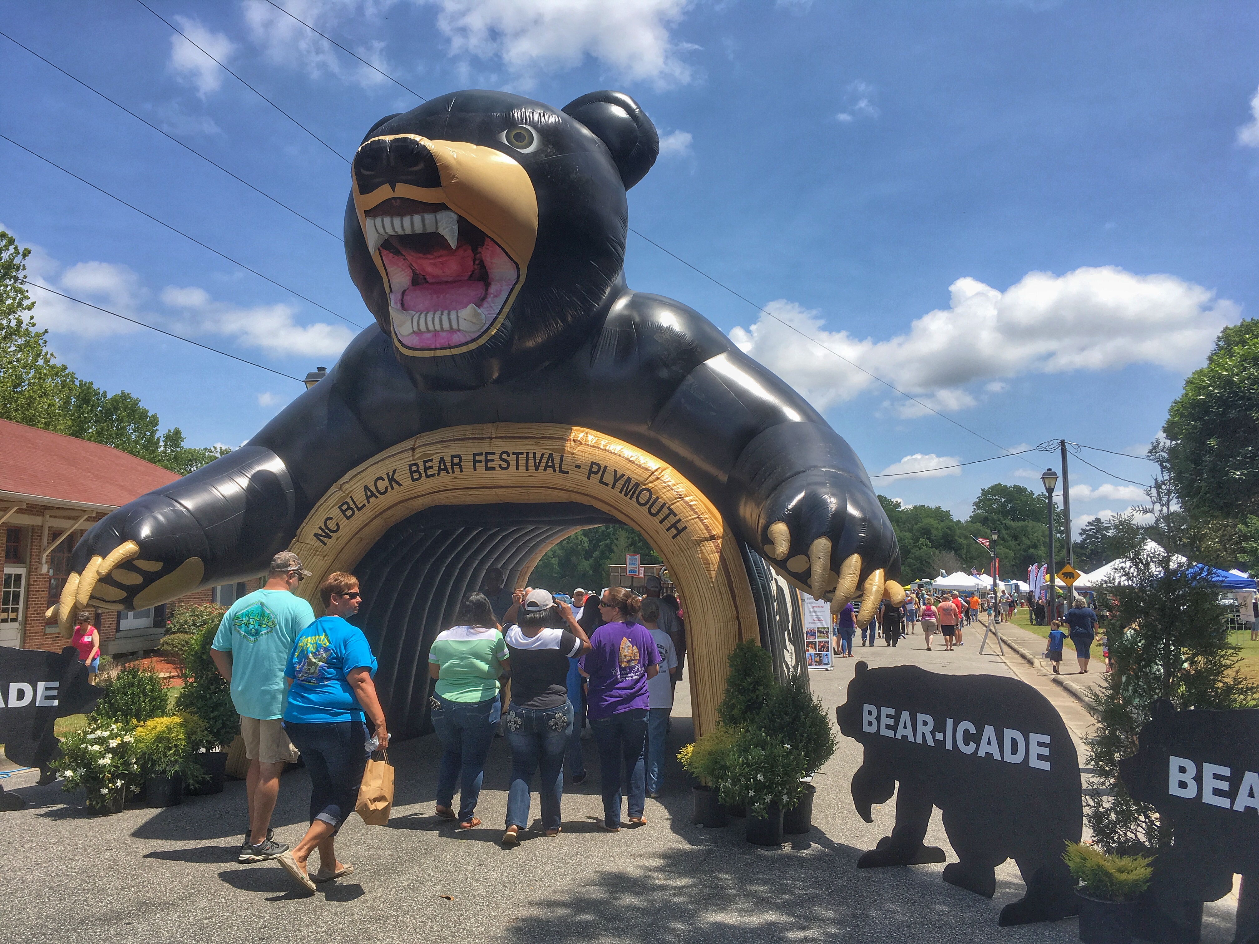 Black Bear Festival