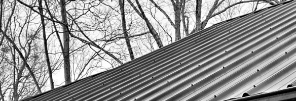 roof lines and trees