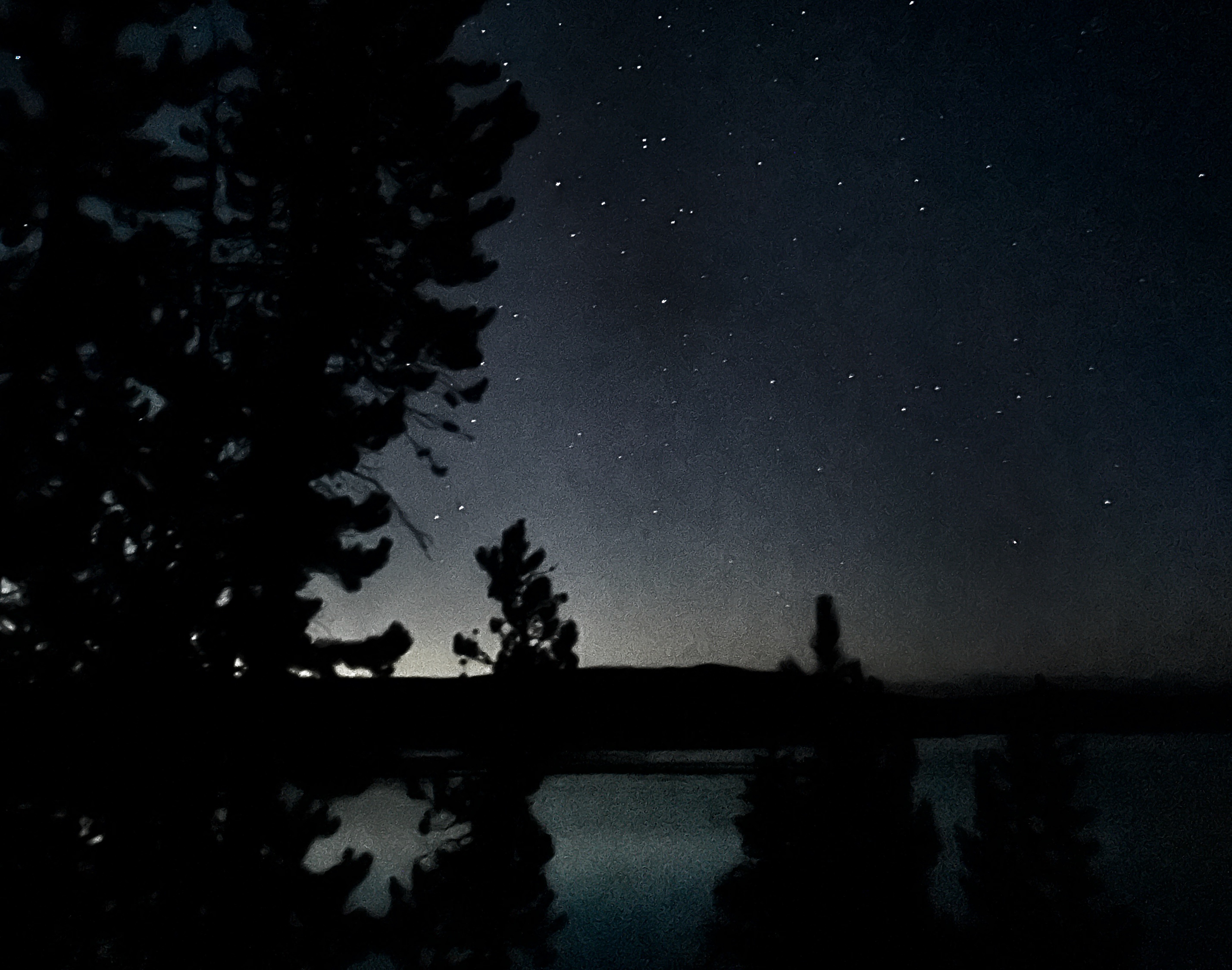 starry sky over opposite lake shore with trees in the foreground