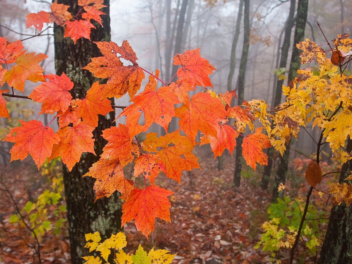 Endings… and Beginnings