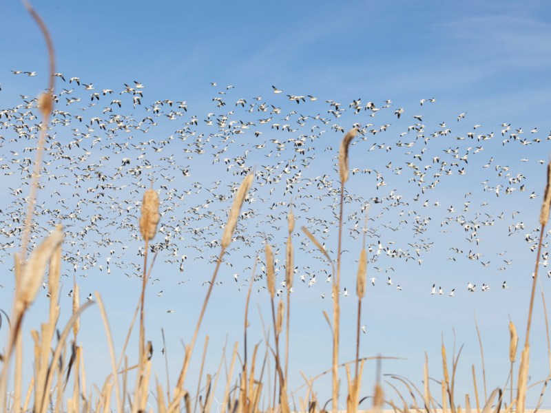 Old Friends, New&nbsp;Home