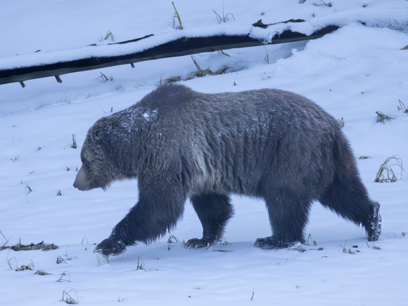 A Weekend Ramble in the&nbsp;Park