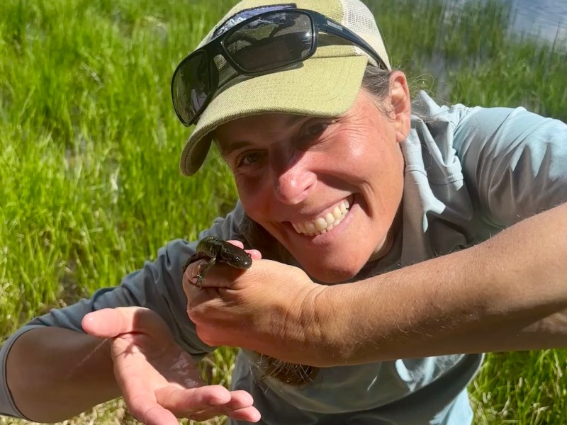 Amphibian Exploration